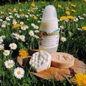 Les Abeilles à Papa